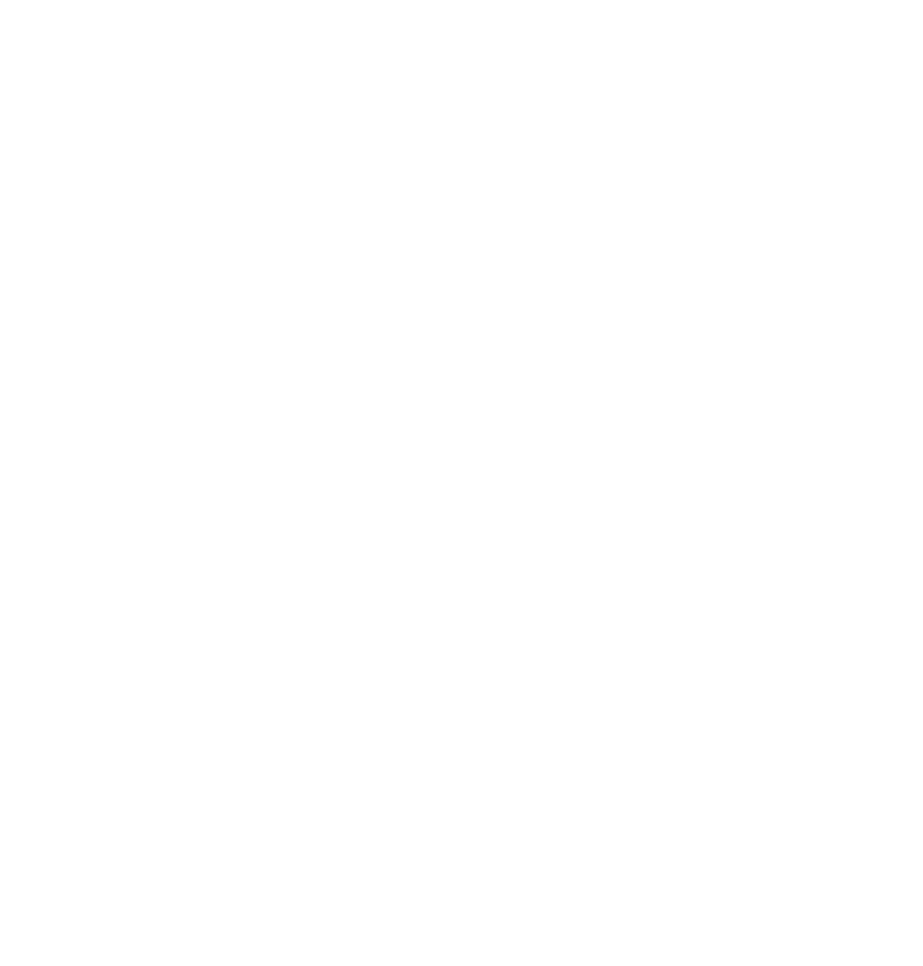SOSS LOGO