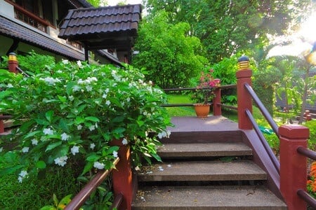deck steps enclosed with luscious greenery