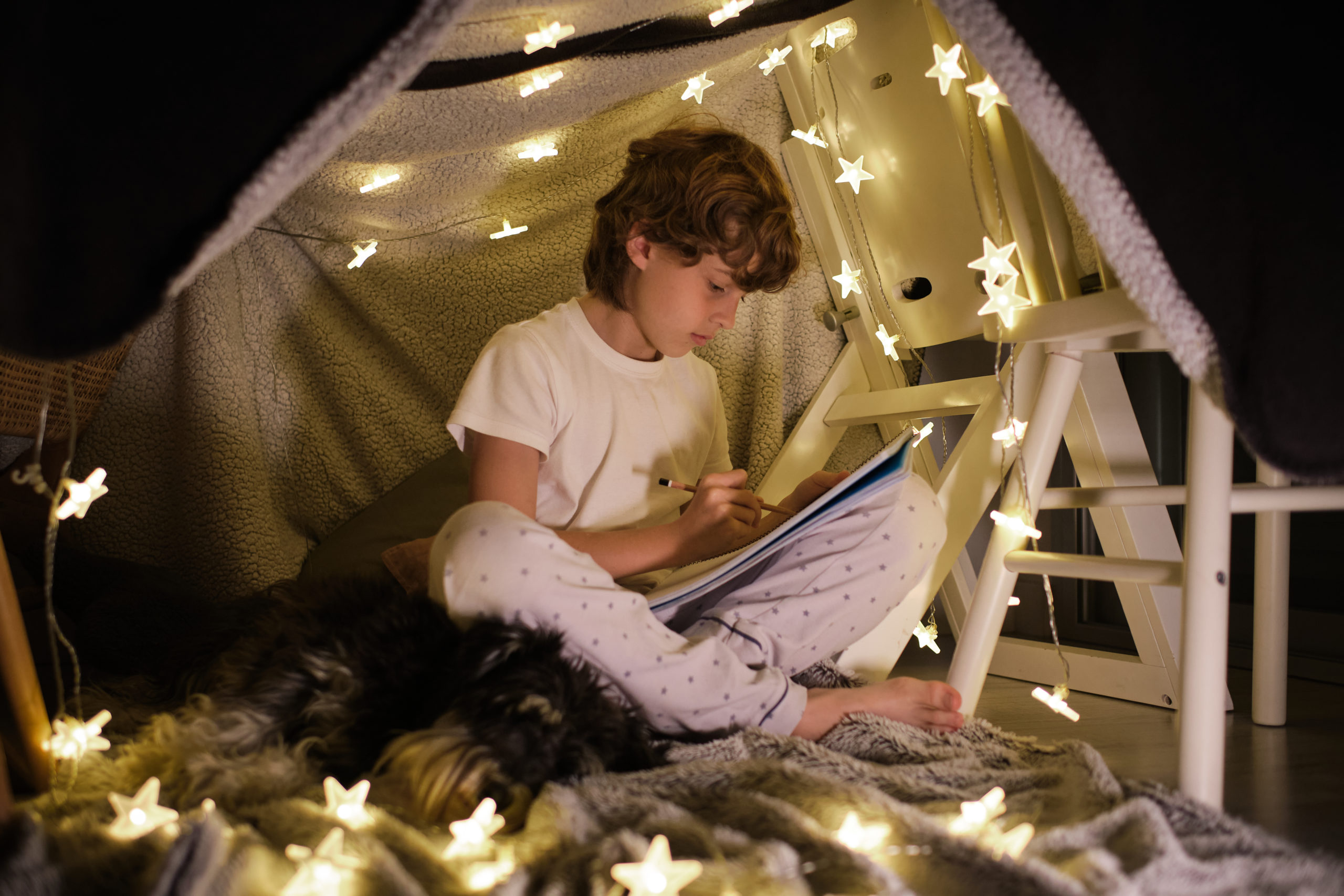 Secret Room Loft Bed Ideas